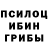 Псилоцибиновые грибы ЛСД Gavhar Akbarova